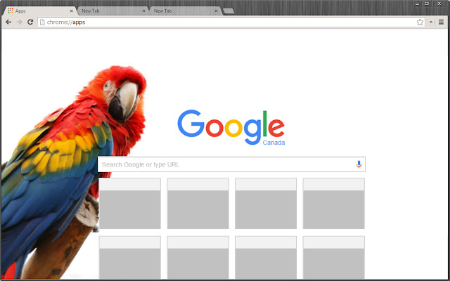 Parrot Bird Theme chrome extension