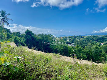 terrain à Le gosier (971)