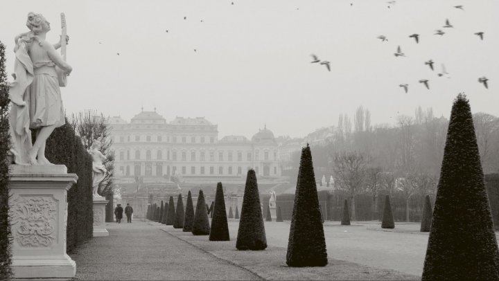 Wiener nebel di Salvatore Gulino