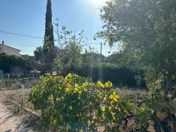 terrain à Puget-sur-Argens (83)