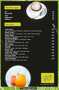 Multi Spice menu 2