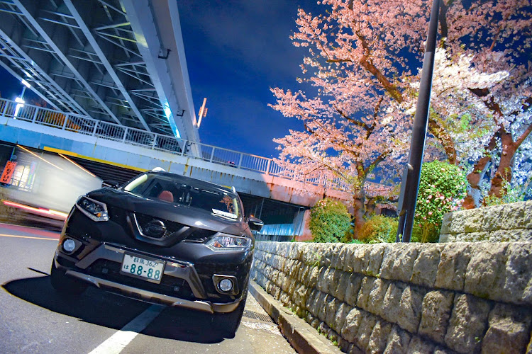 エクストレイルのドライブ・桜コラボに関するカスタム事例の投稿画像1枚目