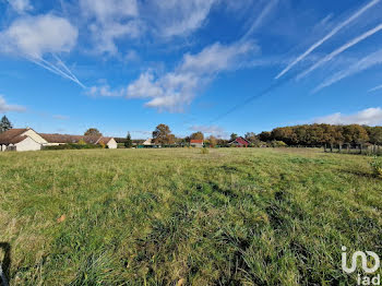 terrain à Montereau (45)