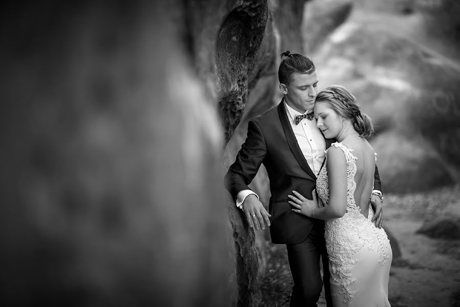 Hochzeitsfotograf Karolina Dmitrowska (dmitrowska). Foto vom 5. Februar 2019