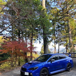 WRX STI VAB