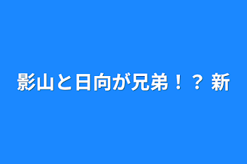 「影山と日向が兄弟！？   新」のメインビジュアル