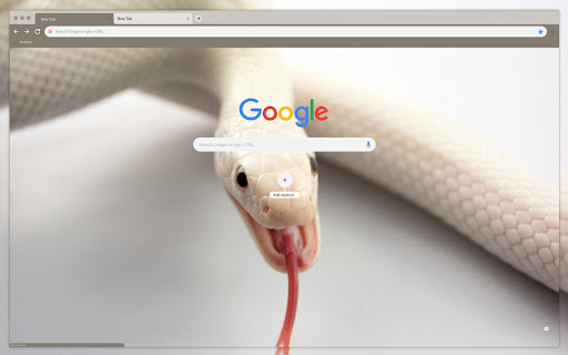 Albino snake