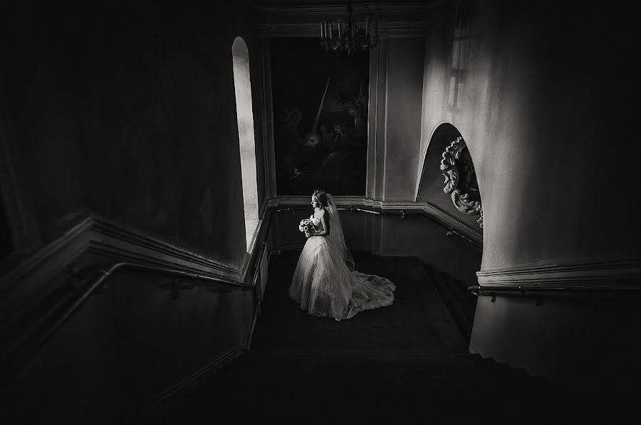 Fotografo di matrimoni Nikolay Busel (busel). Foto del 18 maggio 2016