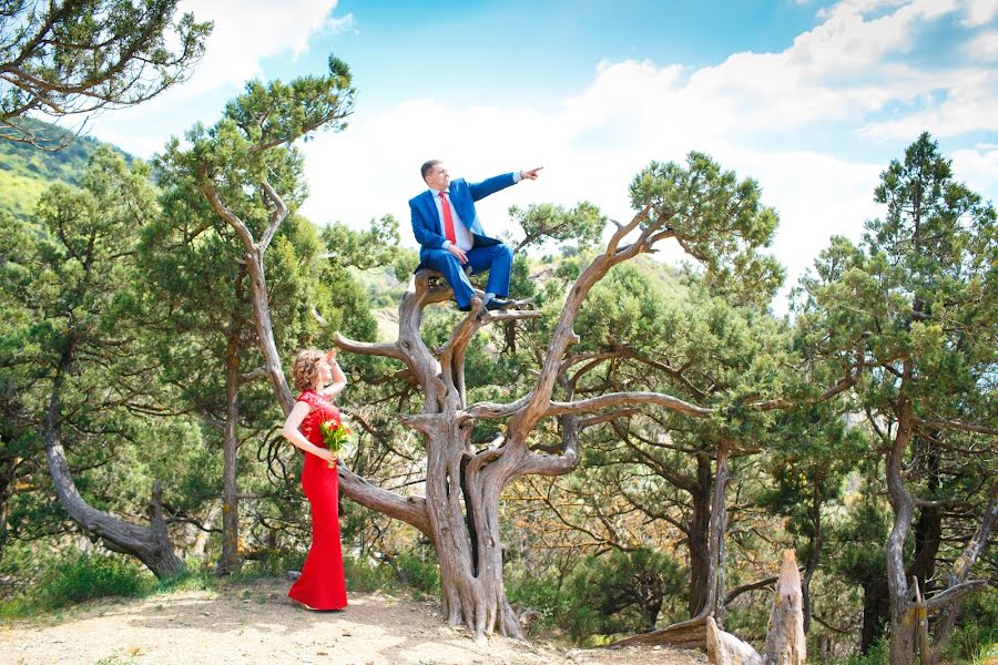 Photographe de mariage Elena Alfimova (sung). Photo du 23 janvier 2019