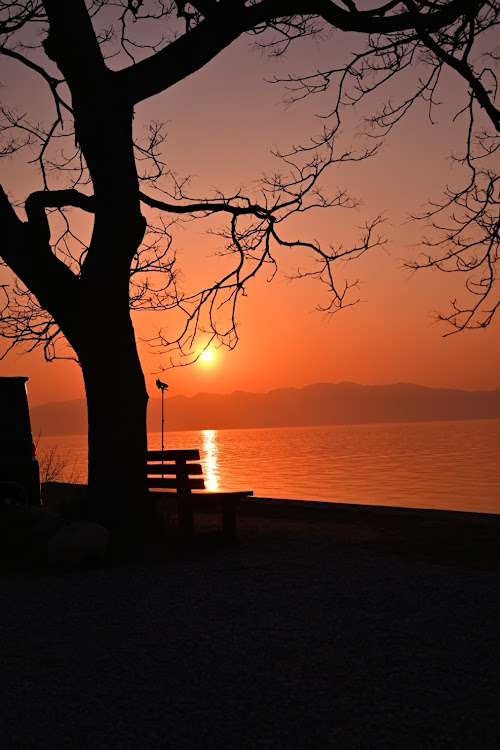 アルトワークスのNikon Z5・nikon d750・夕焼けポートレート・J west36team・撮りためた写真に関するカスタム事例の投稿画像11枚目