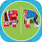 Sumotori Game Apk