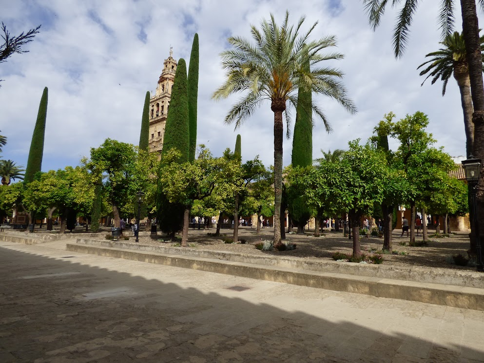 la mezquita  de cordoue