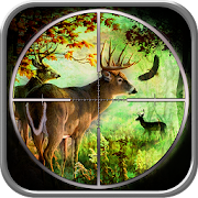 Jungle Animal Hunting 2016  Icon