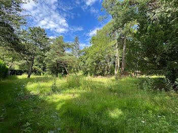 terrain à Le Touquet-Paris-Plage (62)