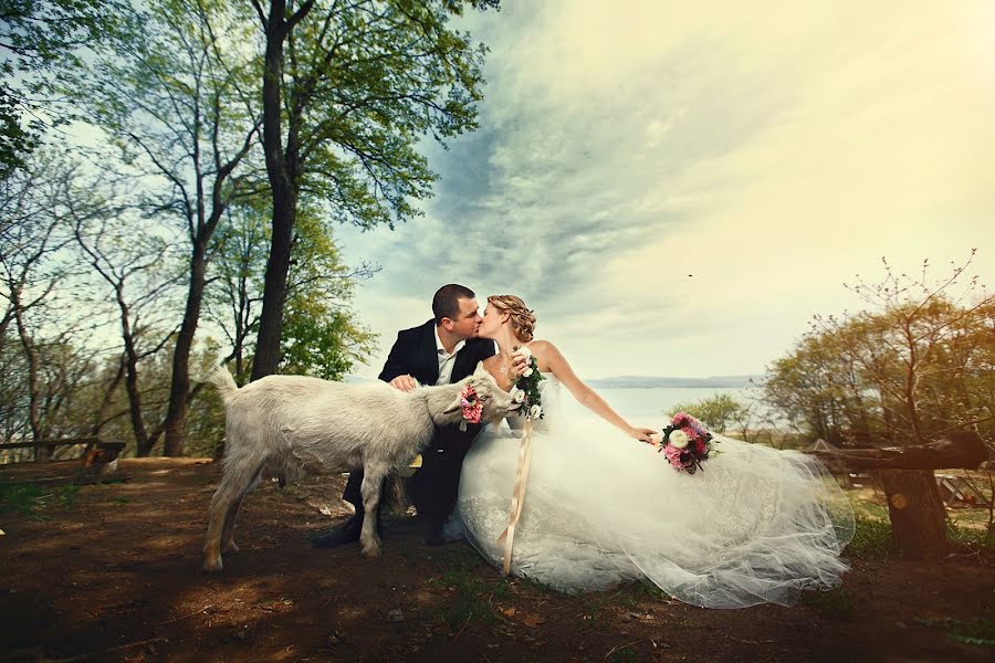 Photographe de mariage Aleksey Kozlov (kozlove). Photo du 12 mai 2014