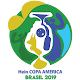 Download Hein Copa América - Brasil 2019 For PC Windows and Mac 1.0