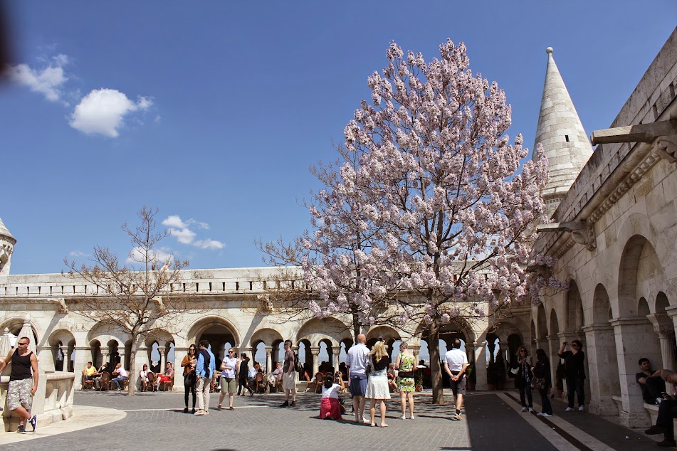 Будапешт - там, где мое сердце (апрель 2015 + Вена)