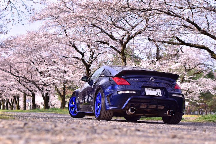 フェアレディZの桜と愛車・愛車撮影に関するカスタム事例の投稿画像4枚目