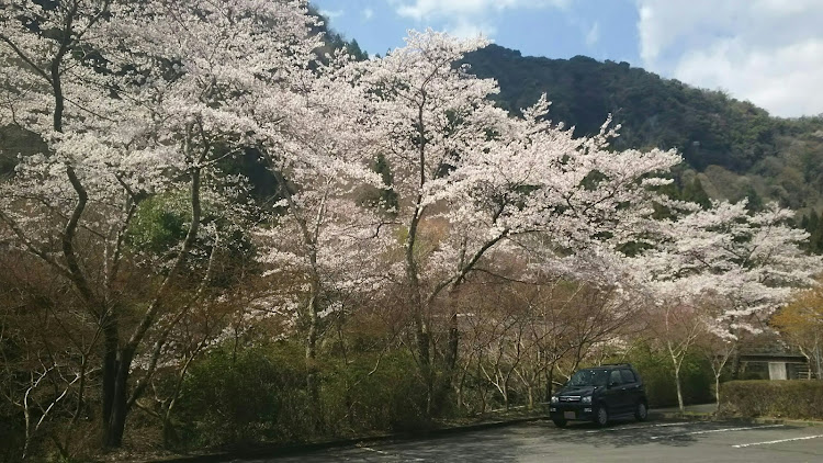 の投稿画像2枚目