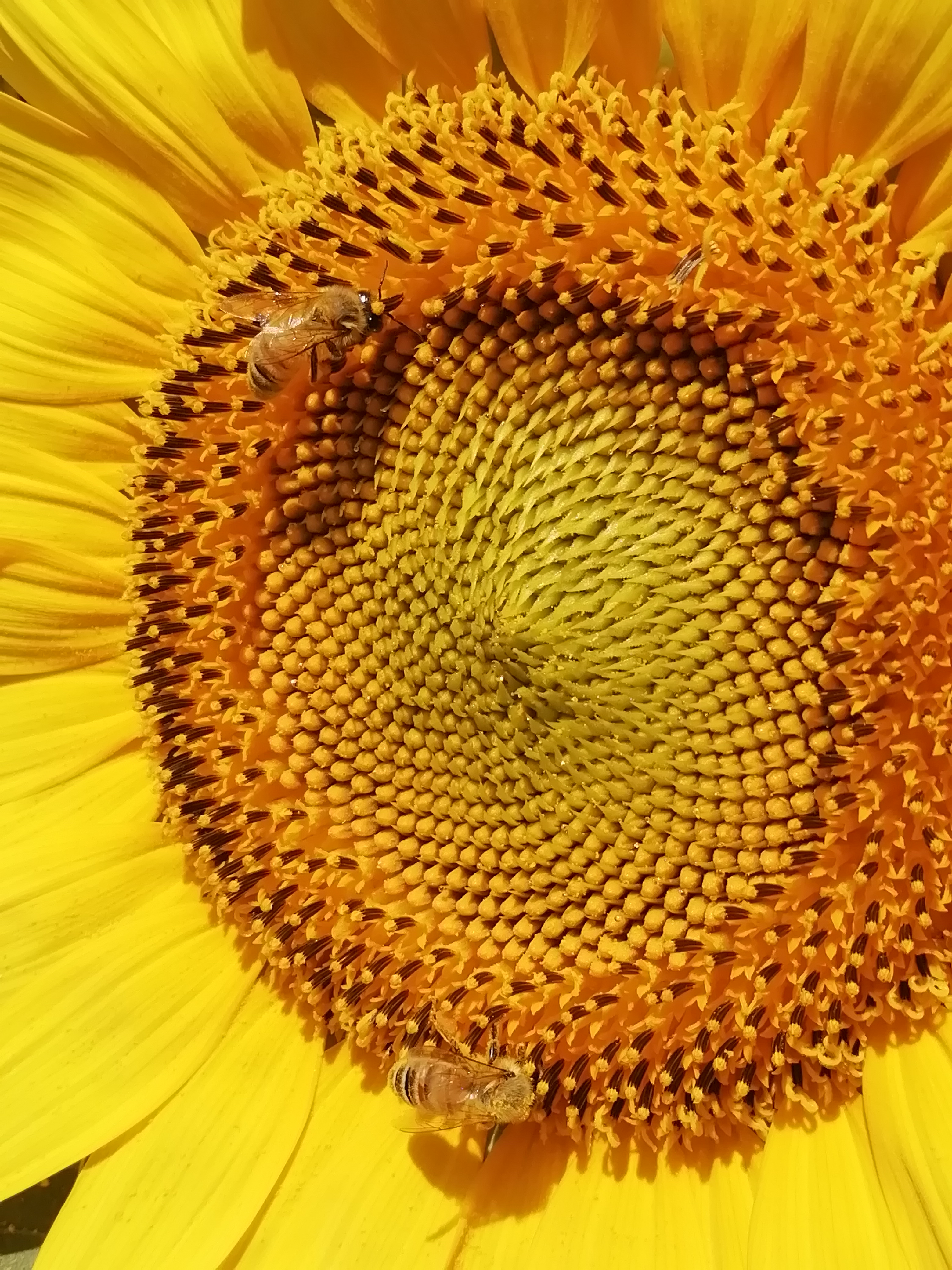 2 mondi diversi  di Barbara Ricagno