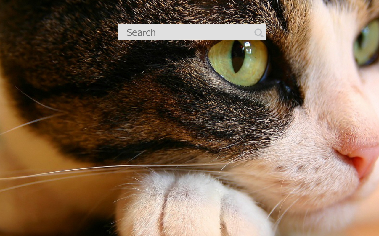Cats New Tab Preview image 2