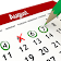 Habit Calendar  icon