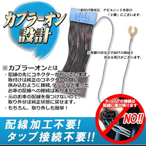 シビックタイプR FL5