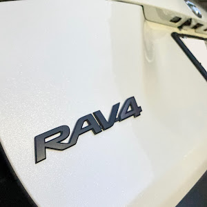 RAV4 MXAA54