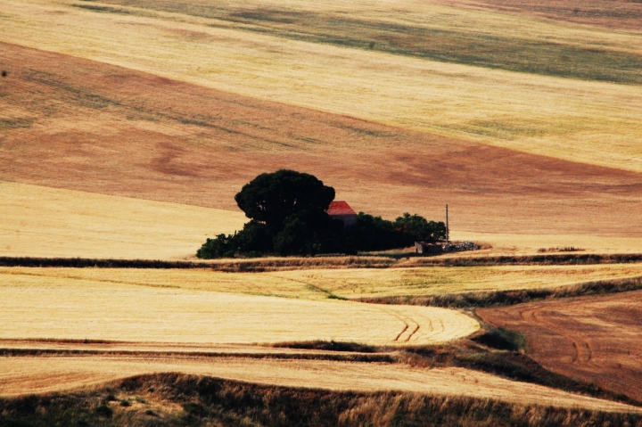 Immerso nel verde di Saribidibobidi Bù