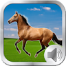 Horse Sounds Ringtones icon