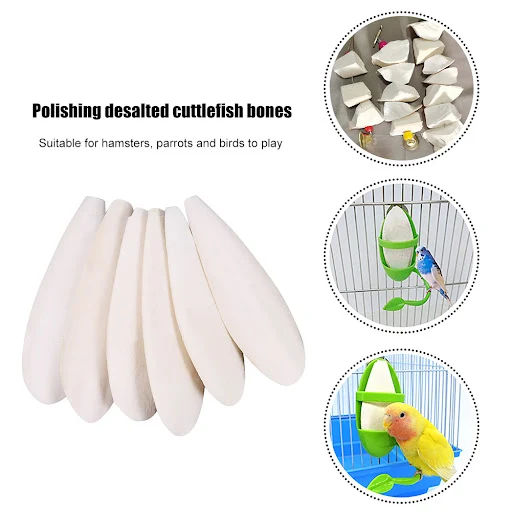 Bone Cuttle Fish Bird Food Pick Stone Pet Parrot Calcium Supplements Chewing Cuttlefish Bone Pet Bird Cage Food Decorati