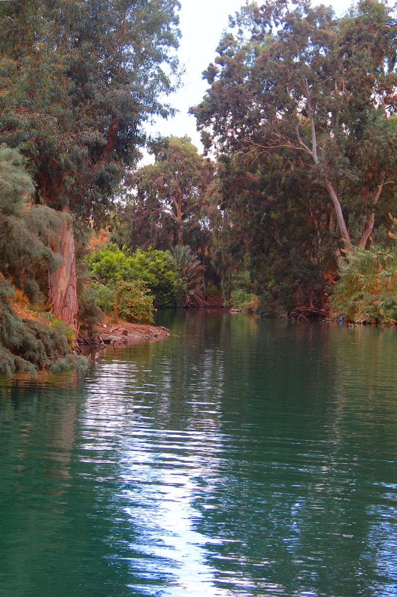 Jordan River by Yardenit
