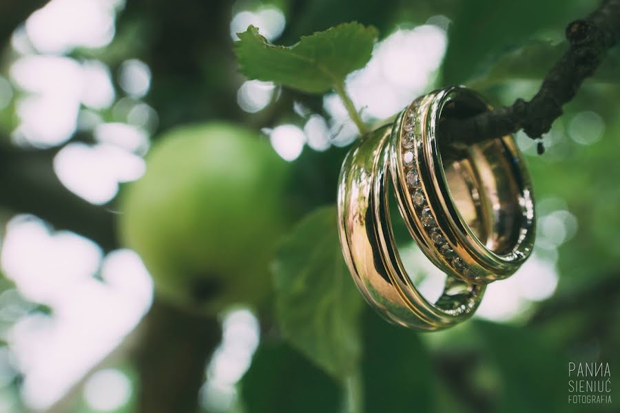 Fotógrafo de casamento Aleksandra Sieniuć (asieniuc). Foto de 10 de março 2020