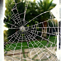 Broken Window di 