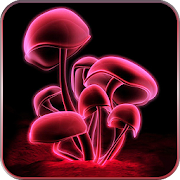 Mushroom 3D Live Wallpaper 1.3 Icon