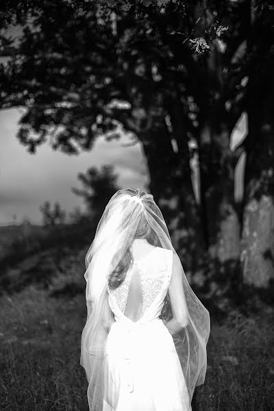 Fotografo di matrimoni Alina Knyazeva (alinaigorevna). Foto del 5 agosto 2016