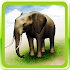 REAL ANIMALS HD1.3.0