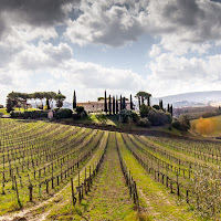 I filari di San Gimignano di 