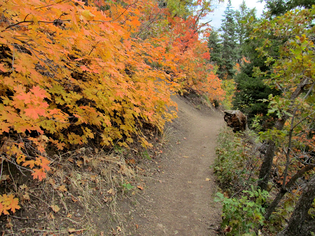 Desolation Trail