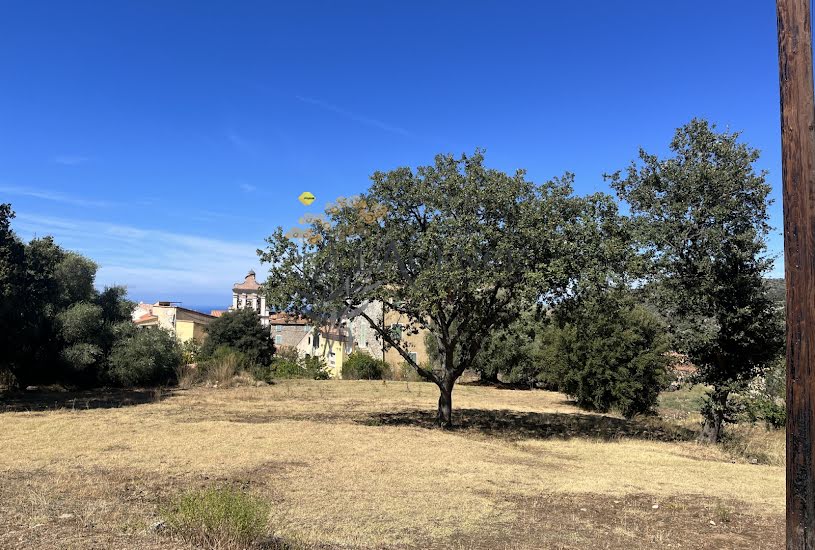  Vente Terrain à bâtir - 7 431m² à Cateri (20225) 