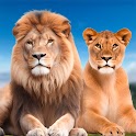 Icon Lion Safari Animal King Game