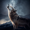 Wolf Sounds icon