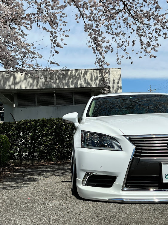 LSのLEXUS・BBS SUPER RS・桜とコラボ🌸・可愛い愛車・これからも宜しくお願い致しますに関するカスタム事例の投稿画像1枚目