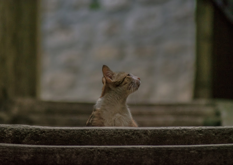 Ti penso e distrattamente aspetto !!! di Peppe Belluardo ph