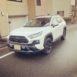 RAV4 MXAA54