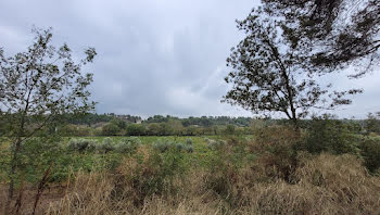 terrain à Rieux-Minervois (11)