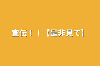 宣伝！！【是非見て】