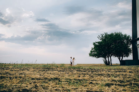 Wedding photographer Elena Bogdanova (bogdan). Photo of 1 August 2017