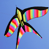 Kite festival icon