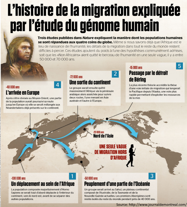 Chapitre 2. Les débuts de l'humanité - hgndp